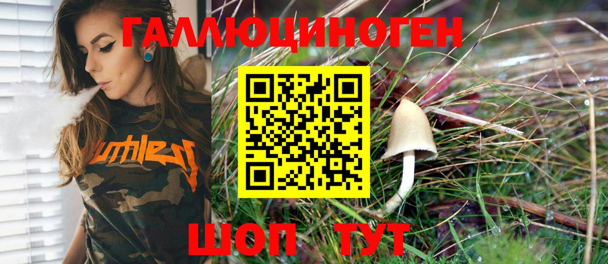 магазин продажи наркотиков  Галлюциногенные грибы Magic Shrooms  Вход с VPN  Белгород 